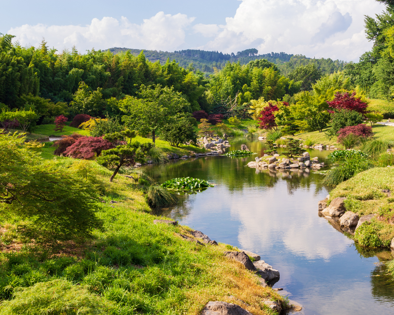 Reflection: Servant stewards? Self-proclaimed rulers? Or co-creators with God?